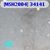 [MSH2004] 34141