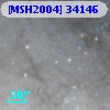 [MSH2004] 34146