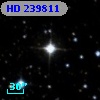 HD 239811