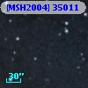 [MSH2004] 35011