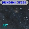 [MSH2004] 35028