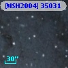 [MSH2004] 35031