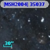 [MSH2004] 35037