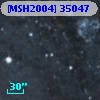 [MSH2004] 35047