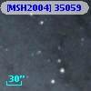 [MSH2004] 35059