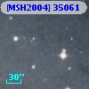 [MSH2004] 35061