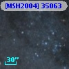 [MSH2004] 35063