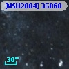 [MSH2004] 35080