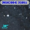 [MSH2004] 35081