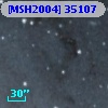 [MSH2004] 35107