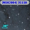 [MSH2004] 35110