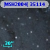 [MSH2004] 35114