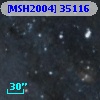 [MSH2004] 35116