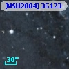 [MSH2004] 35123