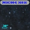 [MSH2004] 36016