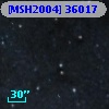 [MSH2004] 36017