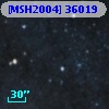 [MSH2004] 36019