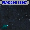 [MSH2004] 36067