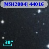 [MSH2004] 44016