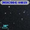[MSH2004] 44019
