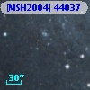 [MSH2004] 44037