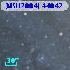 [MSH2004] 44042