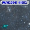 [MSH2004] 44052