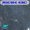[MSH2004] 45002