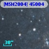 [MSH2004] 45004