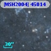 [MSH2004] 45014