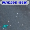 [MSH2004] 45016