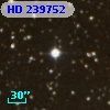 HD 239752