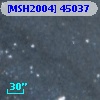 [MSH2004] 45037