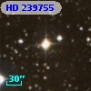 HD 239755