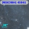 [MSH2004] 45041
