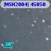 [MSH2004] 45050