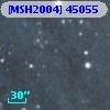 [MSH2004] 45055