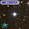 HD 239757