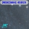 [MSH2004] 45059