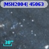 [MSH2004] 45063