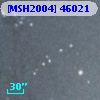 [MSH2004] 46021