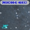 [MSH2004] 46032