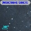 [MSH2004] 50025