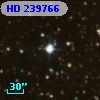 HD 239766