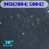 [MSH2004] 50042