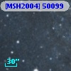 [MSH2004] 50099