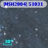 [MSH2004] 51031