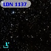 LDN 1137