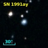 SN 1991ay