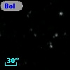 Bol D129
